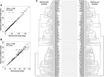 Molecular timetrees using relaxed clocks and uncertain phylogenies
